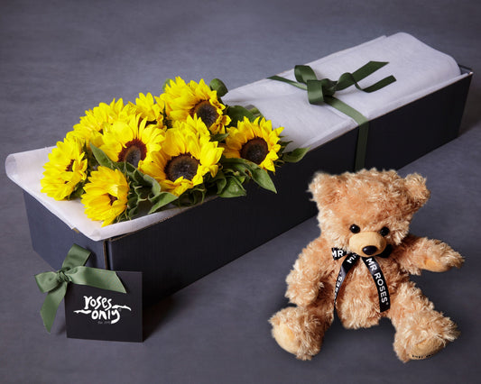Sunflowers & Teddy