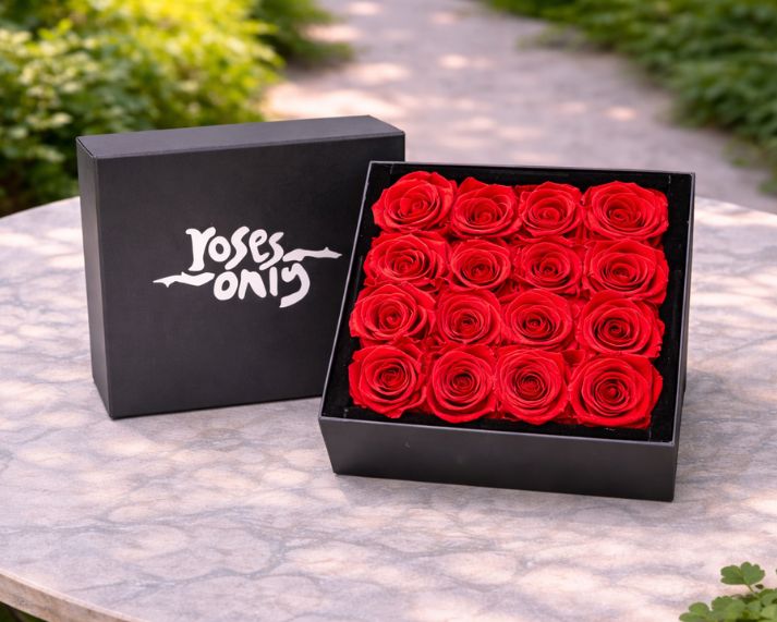 Mother's Day Flowers - 16 Red Infinity Preserved Roses