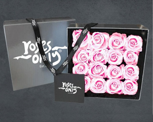 16 Pink Infinity Preserved Roses