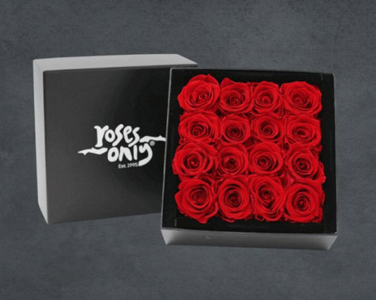 16 Red Infinity Preserved Roses