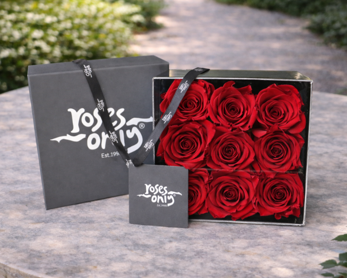 Valentine's Day Roses - 9 Red Infinity Preserved Roses