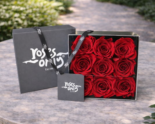 Valentine's Day Roses - 9 Red Infinity Preserved Roses