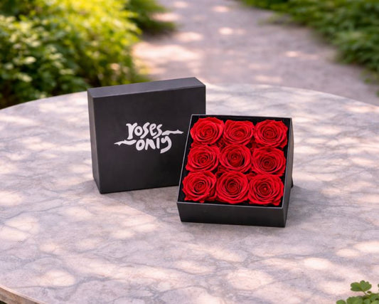 9 Red Infinity Preserved Roses