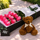 Pink Roses & Teddy