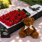 Red Roses & Teddy