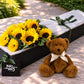 Sunflowers & Teddy