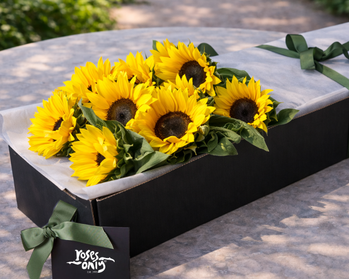 sunflowers in gift box