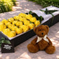 Yellow Roses & Teddy