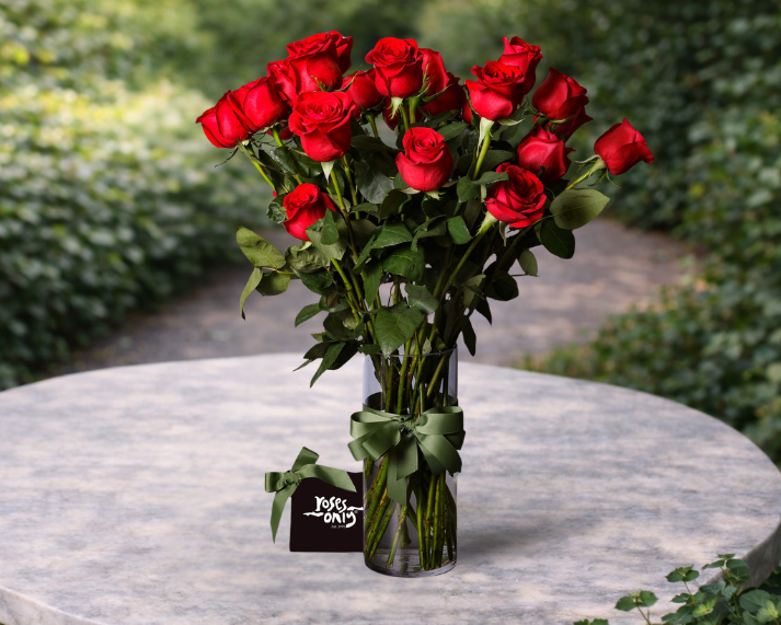 Red Long Stemmed Roses Vase