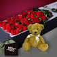 valentines-day-flowers roses_and_teddy