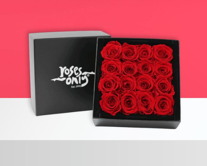 16 red infinity preserved roses